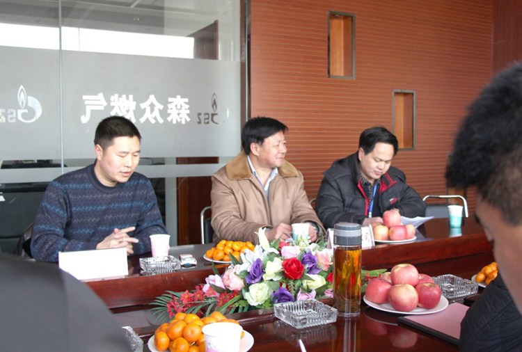 林口县政府与亚-搏手机版登入页面界面燃气项目洽谈.png